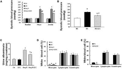 Macrophage Depletion Lowered Blood Pressure and Attenuated Hypertensive Renal Injury and Fibrosis